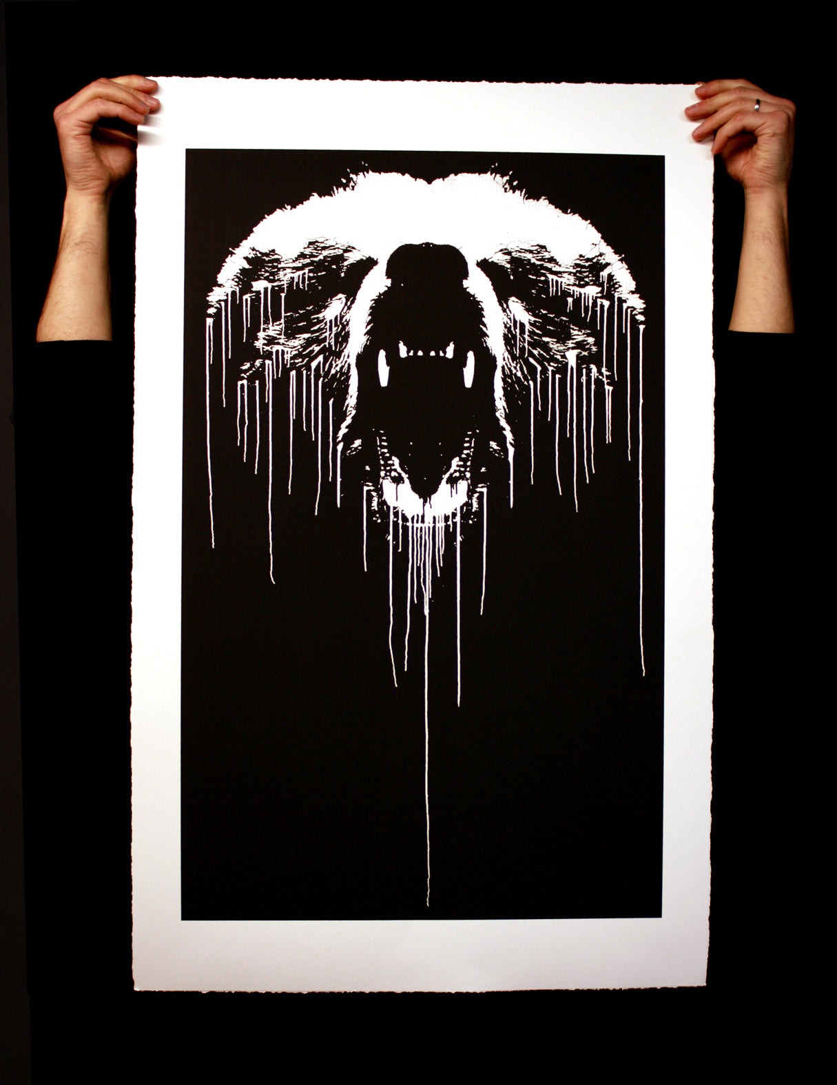 The Bear