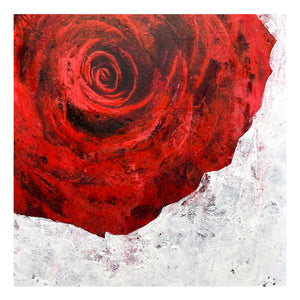 Rose III. 2025