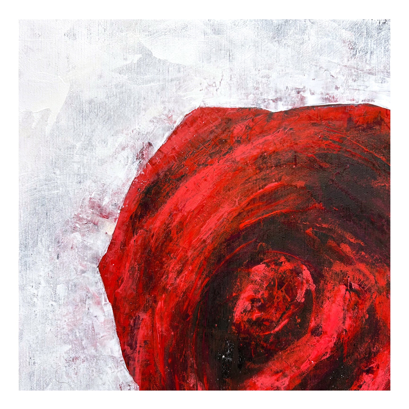 Rose IV. 2025