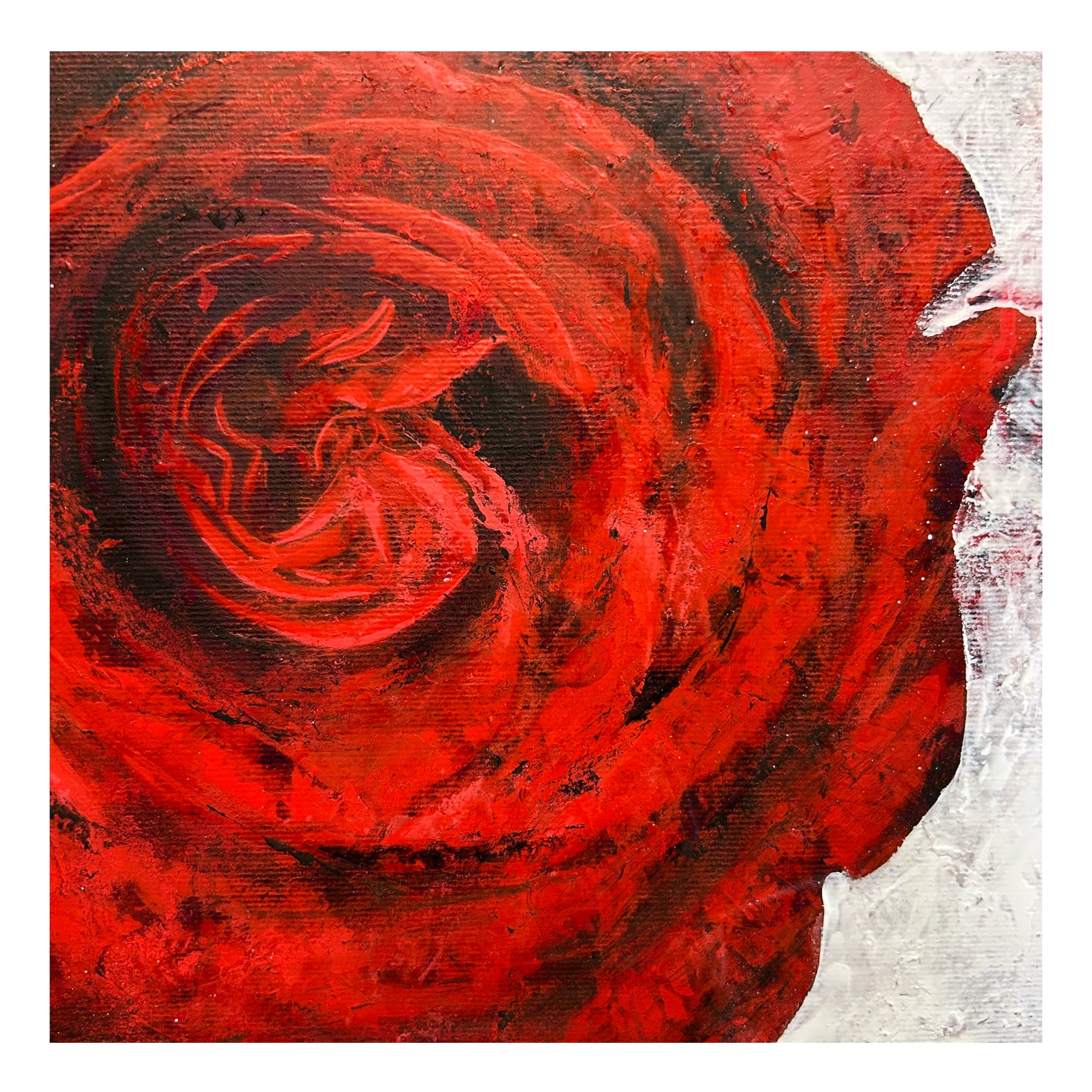 Rose V. 2025