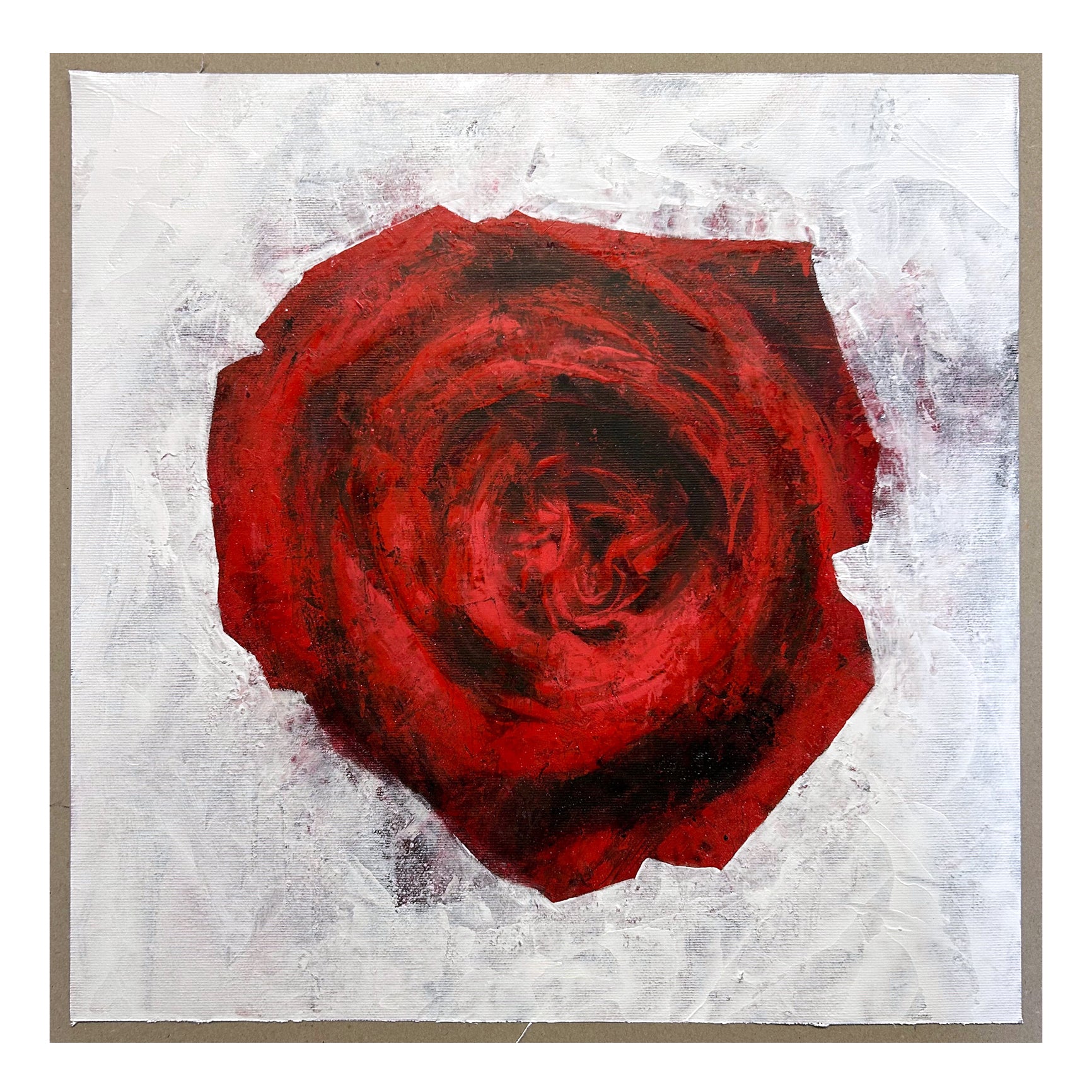 Rose VI. 2025