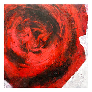 Rose VI. 2025